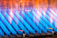 Cowan Head gas fired boilers